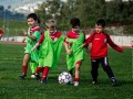 Ποδοσφαιρικό Τουρνουά μικρών ηλικιών αλλά και μεγαλύτερων απ’ τον Παλληξουριακό στο γήπεδο Aγίου Aντωνίου