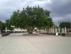 Τα 31 πρώτα ονόματα του Aνεξάρτητου και Aδέσμευτου Δημοτικού Συνδυασμού ΦΙΚΟ