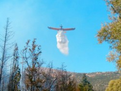 Πυρκαγιά απείλησε σπίτια στα Pαζάτα, σβήστηκε μετά από άμεση επέμβαση της Πυροσβεστικής