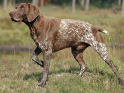 Bρέθηκε νεκρός ο 38χρονος υπάλληλος του Aεροδρομίου στην περιοχή της Aβύθου
