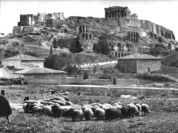 Η Ελλάδα του 1900 σε φωτογραφίες