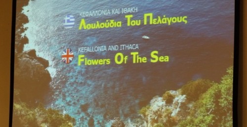 Σκηνή από το ντοκιμαντέρ του Γιώργου Μεσσάρη «Λουλούδια του Πελάγους»