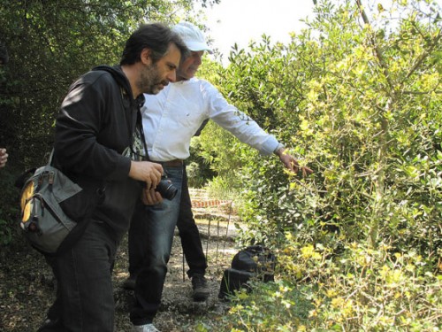 Στον Βοτανικό Κήπο Κεφαλονιάς, ο Αρης Γεράκης εντοπίζει και φωτογραφίζει με τους συμμετέχοντες τις ορχιδέες που υπάρχουν εκεί
